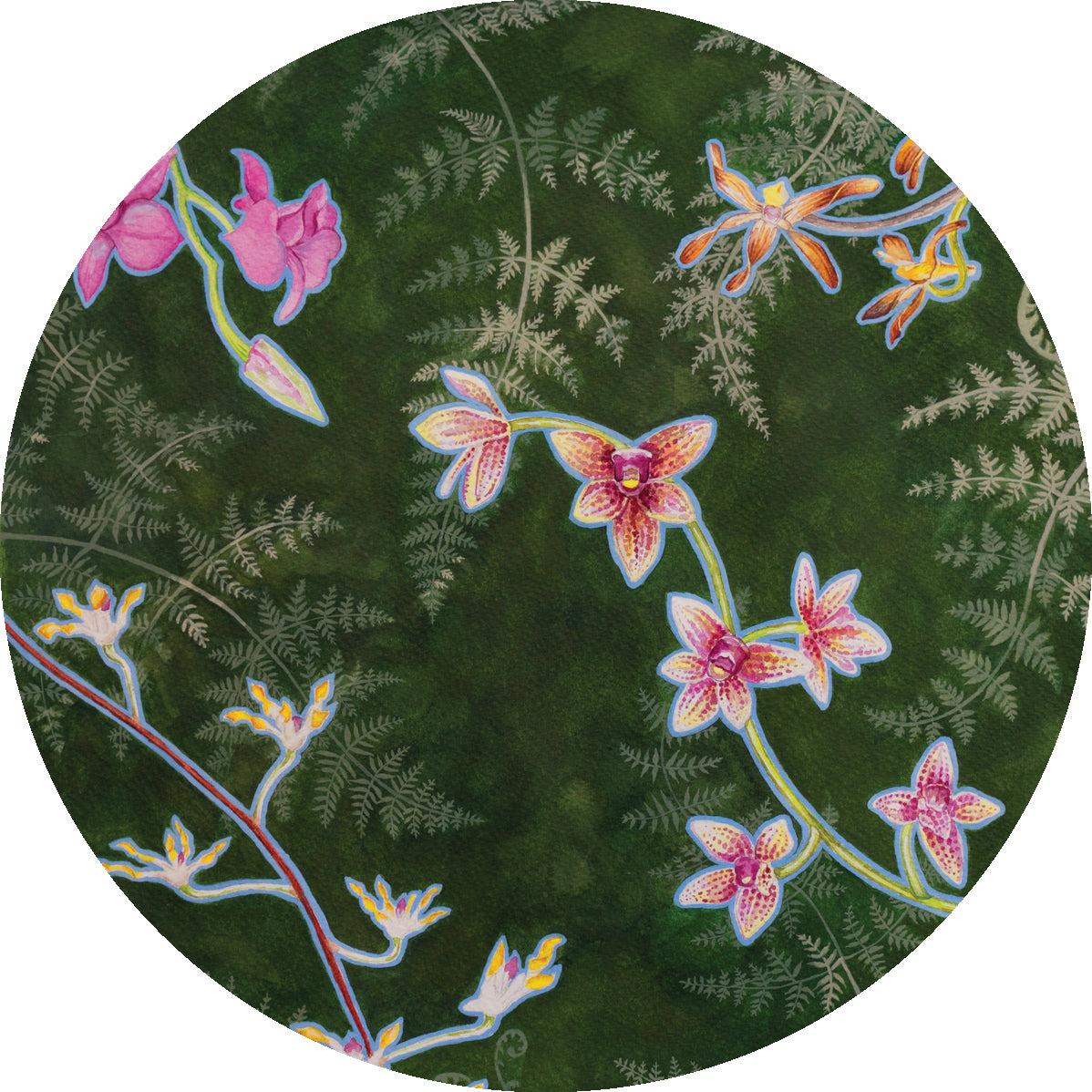 Sarah Carpenter Botany Mirror