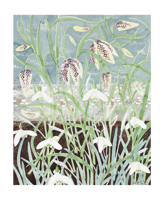 Fritillaries and Snowdrops Greetings Card
