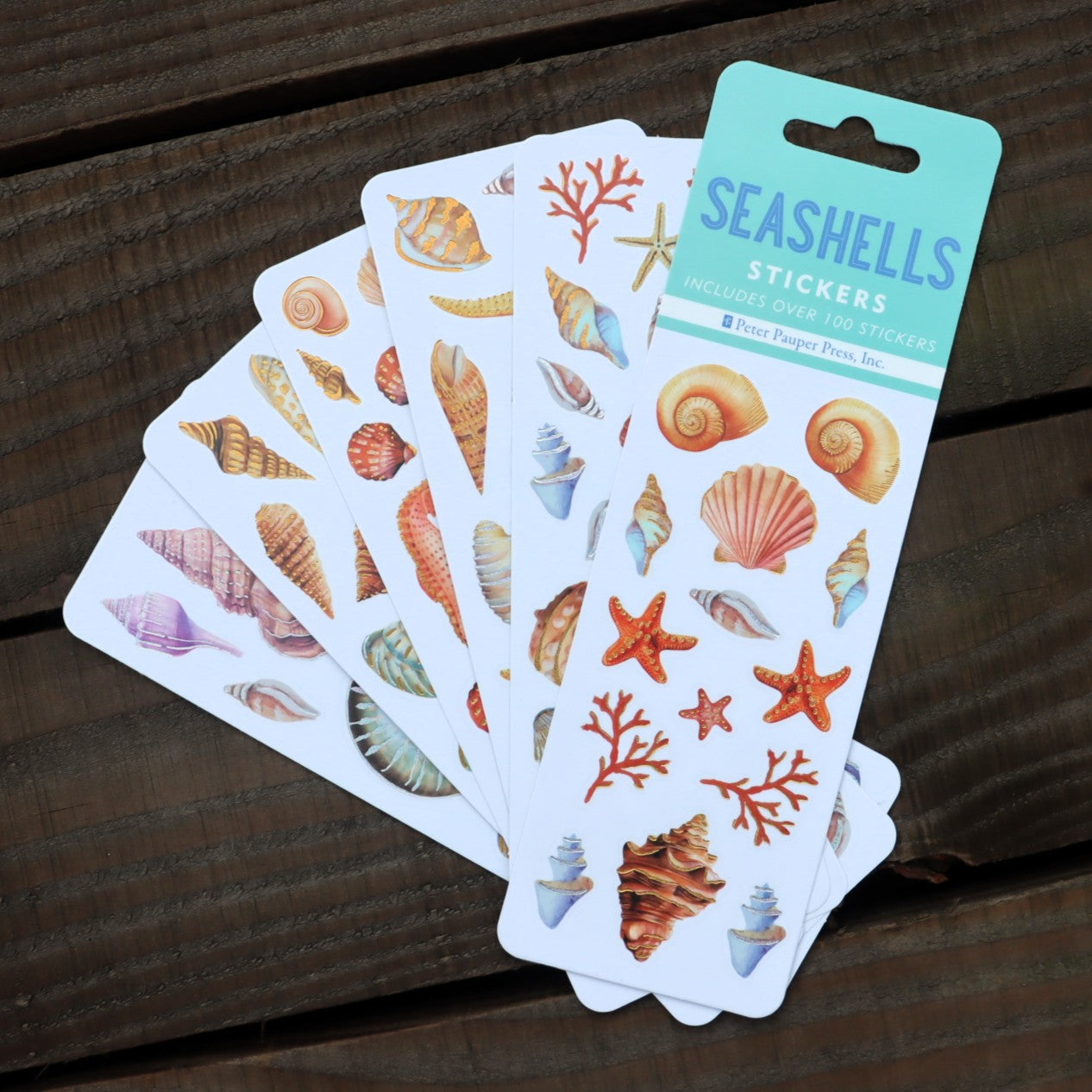 Seashells Sticker Set