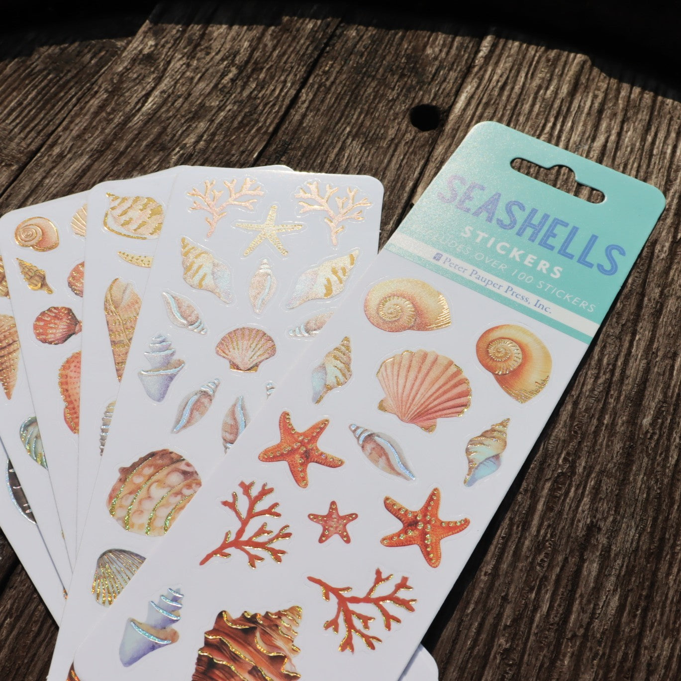 Seashells Sticker Set