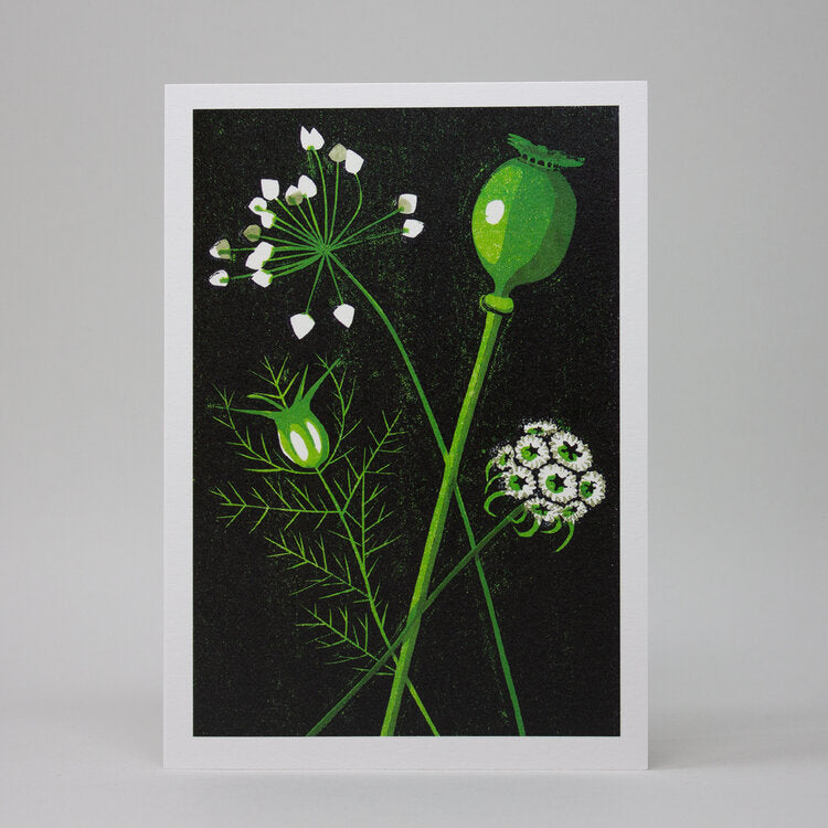 Seed Heads Greetings Card
