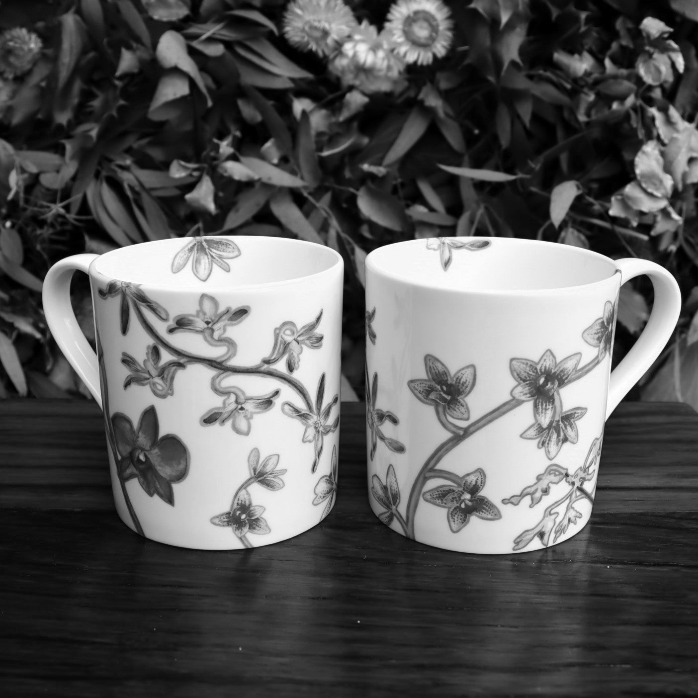 SS Great Britain x Sarah Carpenter – SS Great Britain Shop