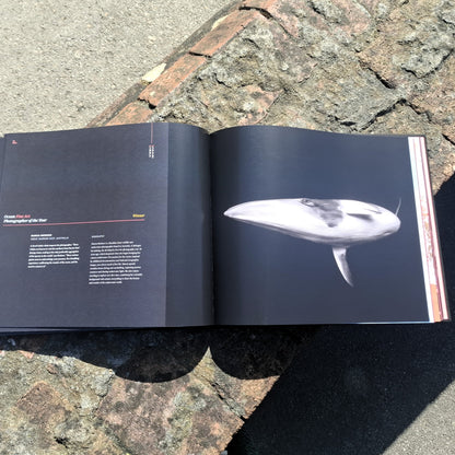 Ocean Photographer of the Year Coffee Table Book