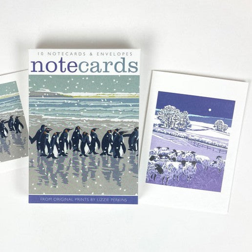 Snowy Beach Kings & Flocks by Night Notecards