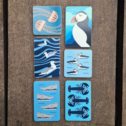 Ben Marriott Magnet