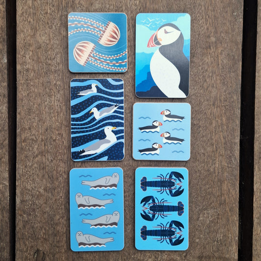 Ben Marriott Magnet
