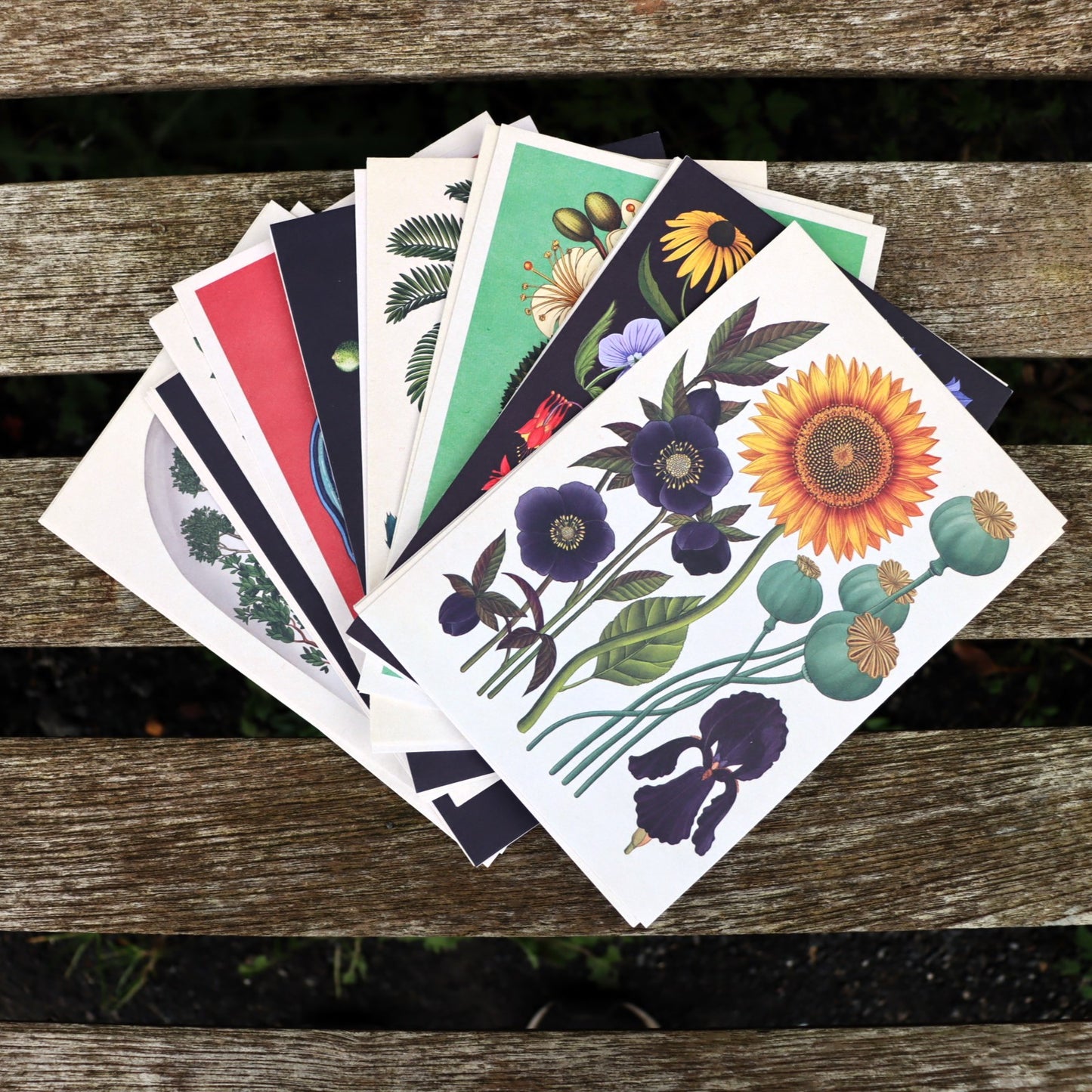 Botanicum Postcards