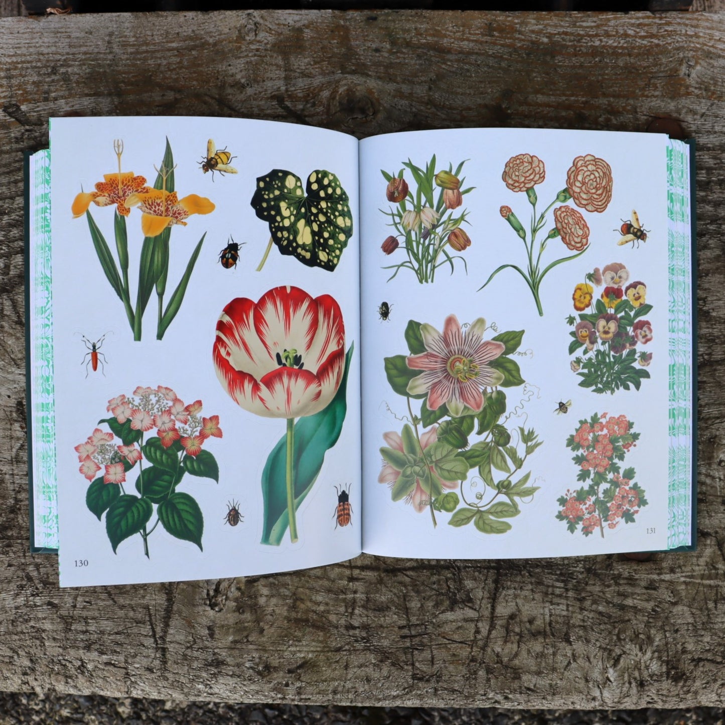 The Botanist's Sticker Anthology