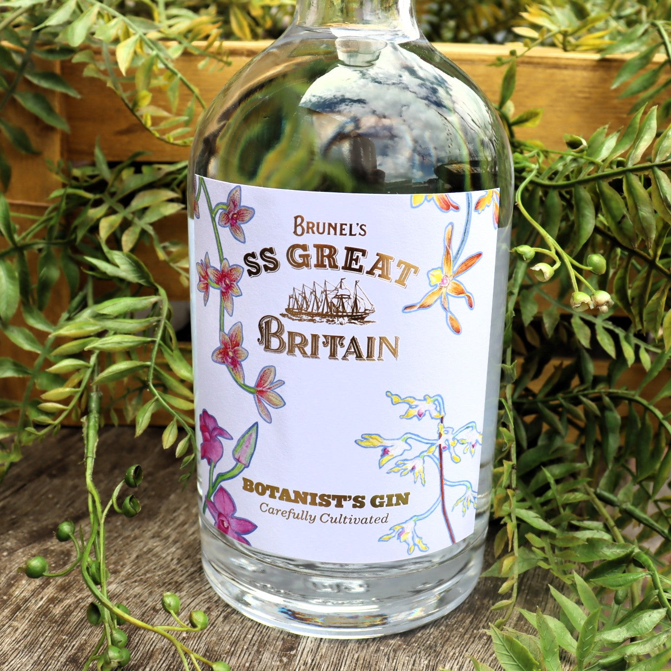 Botanist's Gin (6 O'Clock x SSGB)