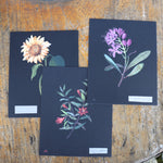 Paper Flower Postcards