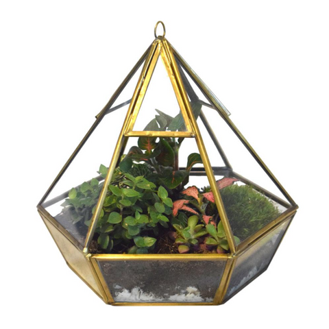 Recycled Metal and Glass Terrarium