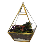 Recycled Metal and Glass Terrarium