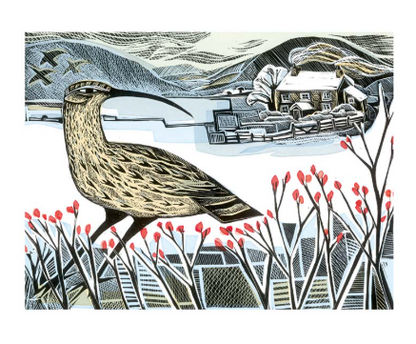 Robins and Teasels & Curlew Christmas Notecards