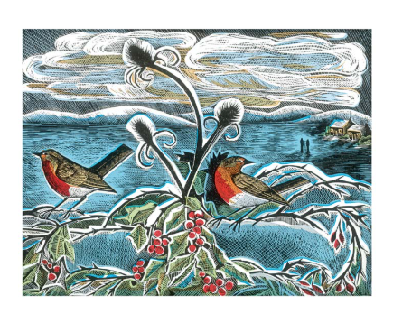 Robins and Teasels & Curlew Christmas Notecards