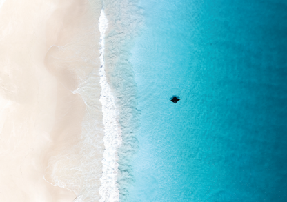 Ocean Photographer of the Year Poster