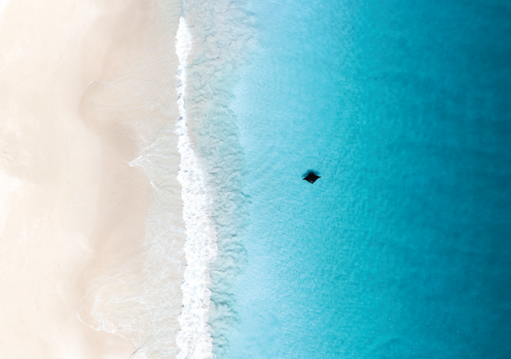Ocean Photographer of the Year Postcard