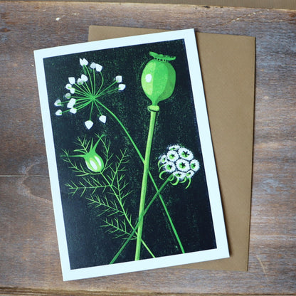 Seed Heads Greetings Card