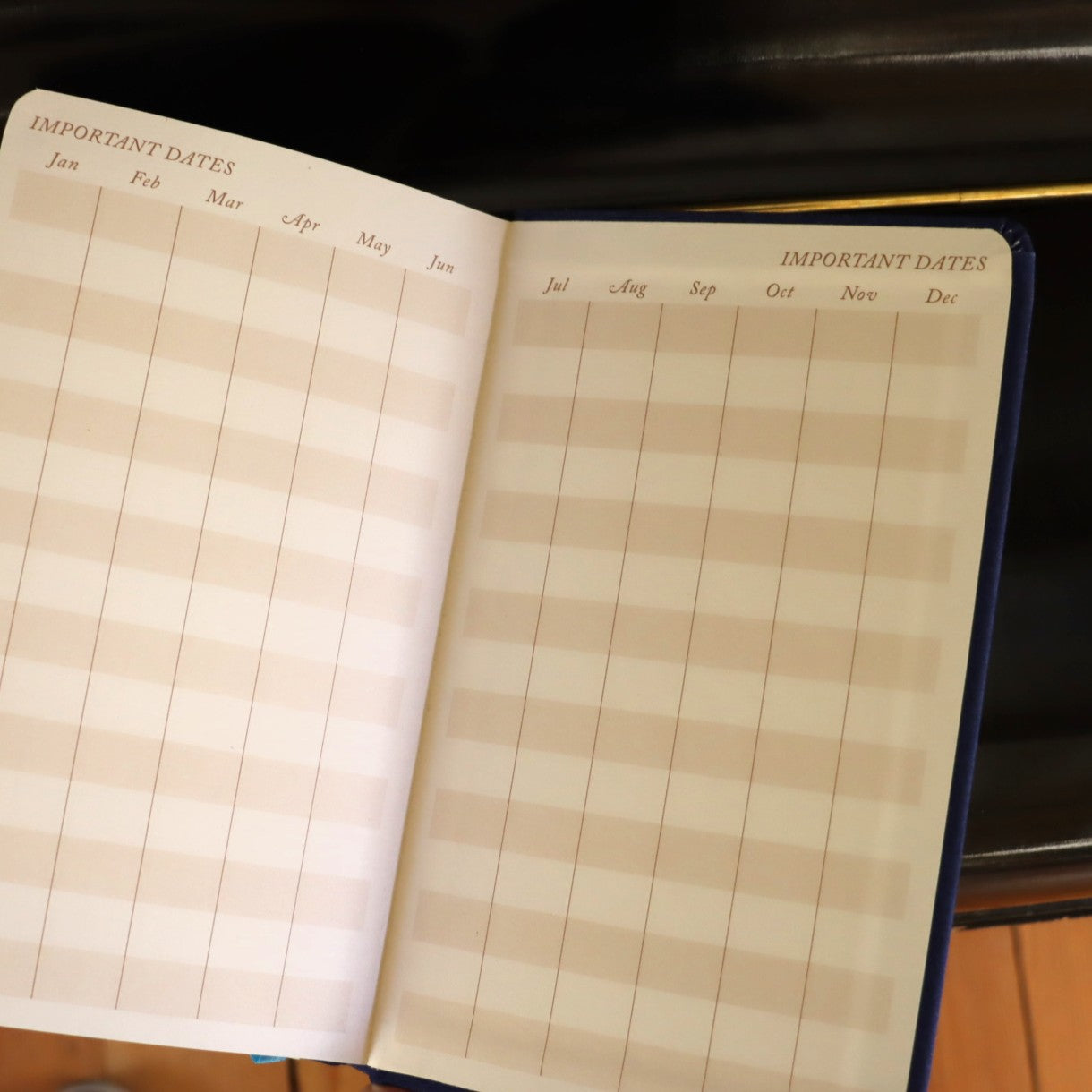 Starry Eyed Journal
