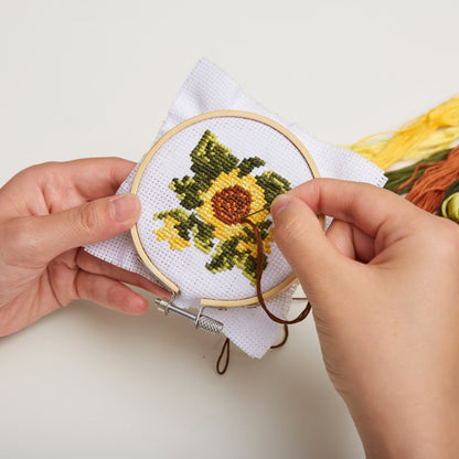 Mini Cross Stitch Embroidery Hoop