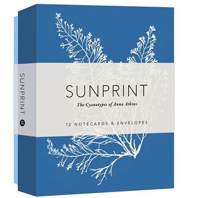 Sunprint Notecards: The Cyanotypes of Anna Atkins