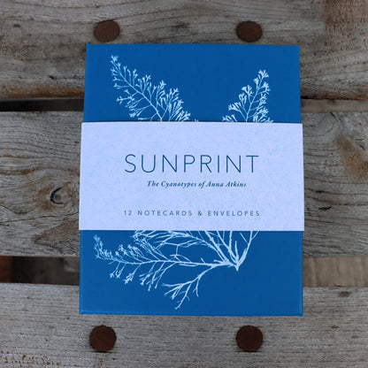 Sunprint Notecards: The Cyanotypes of Anna Atkins