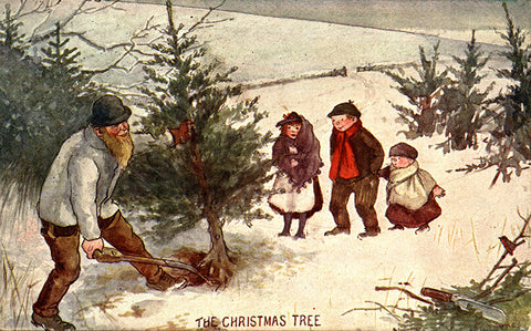 The Christmas Tree Christmas Card