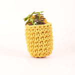 Easy Peasy Crochet Pot Kit