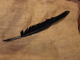 SS Great Britain Feather Pen