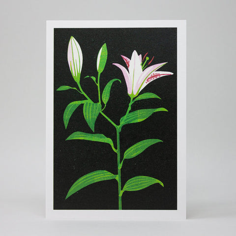 Lily Greetings Card